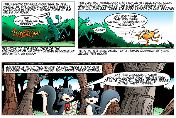 The Wacky World of Animal Facts