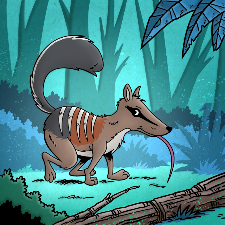 Numbat